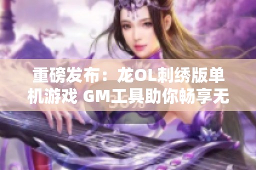 重磅发布：龙OL刺绣版单机游戏 GM工具助你畅享无限元宝与百级神器