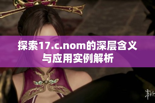 探索17.c.nom的深层含义与应用实例解析