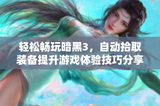 轻松畅玩暗黑3，自动拾取装备提升游戏体验技巧分享