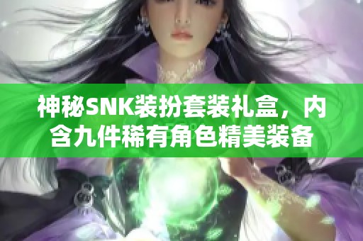 神秘SNK装扮套装礼盒，内含九件稀有角色精美装备