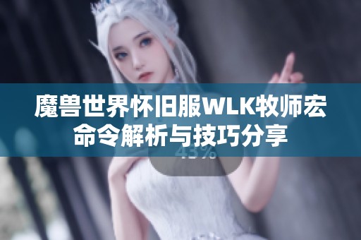 魔兽世界怀旧服WLK牧师宏命令解析与技巧分享