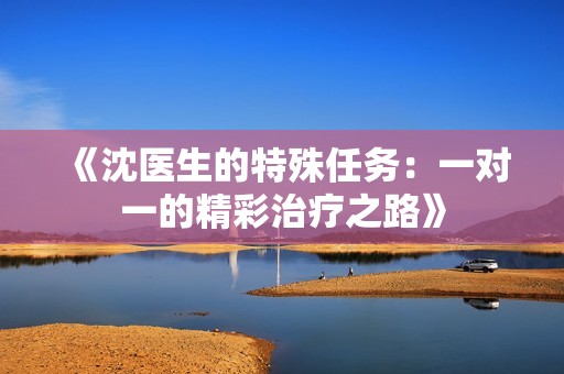 《沈医生的特殊任务：一对一的精彩治疗之路》