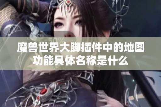 魔兽世界大脚插件中的地图功能具体名称是什么