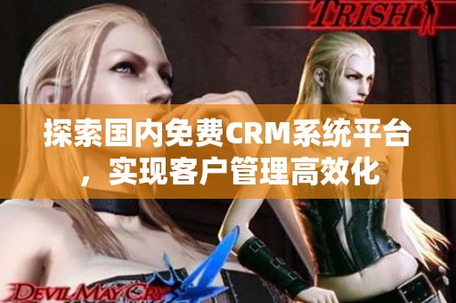 探索国内免费CRM系统平台，实现客户管理高效化