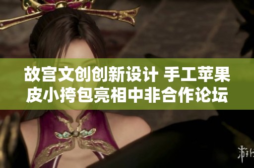 故宫文创创新设计 手工苹果皮小挎包亮相中非合作论坛