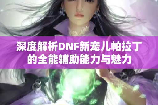 深度解析DNF新宠儿帕拉丁的全能辅助能力与魅力