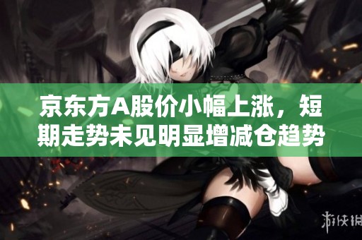 京东方A股价小幅上涨，短期走势未见明显增减仓趋势