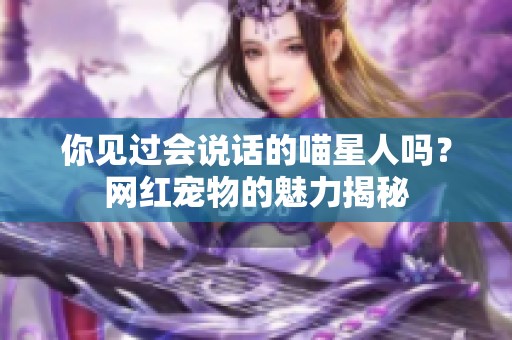 你见过会说话的喵星人吗？网红宠物的魅力揭秘