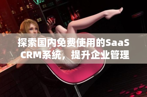 探索国内免费使用的SaaS CRM系统，提升企业管理效率