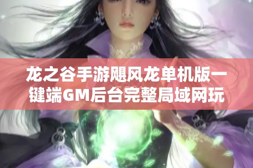 龙之谷手游飓风龙单机版一键端GM后台完整局域网玩法解析