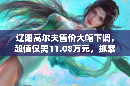 辽阳高尔夫售价大幅下调，超值仅需11.08万元，抓紧机会！