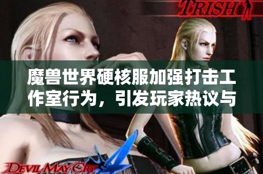 魔兽世界硬核服加强打击工作室行为，引发玩家热议与共鸣