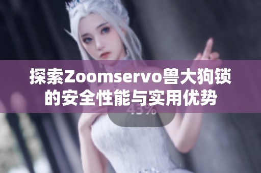 探索Zoomservo兽大狗锁的安全性能与实用优势